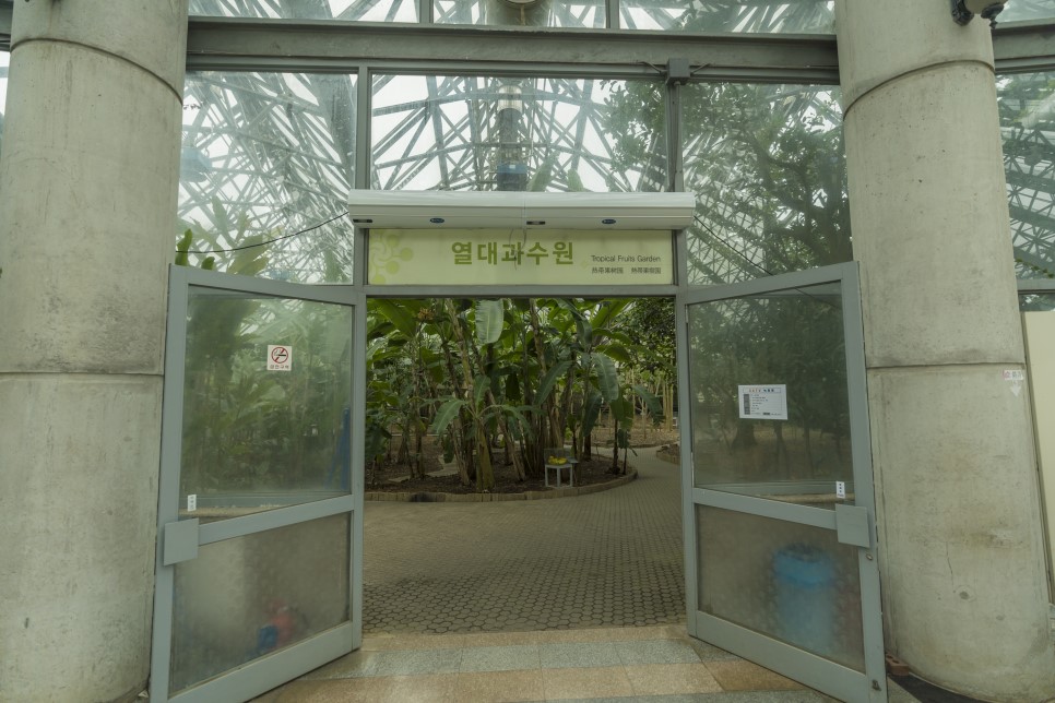온실 식물원 열대과수원