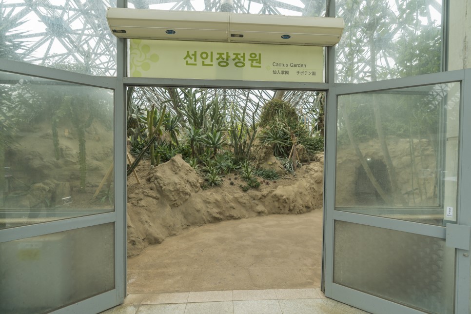 온실 식물원 선인장식물원