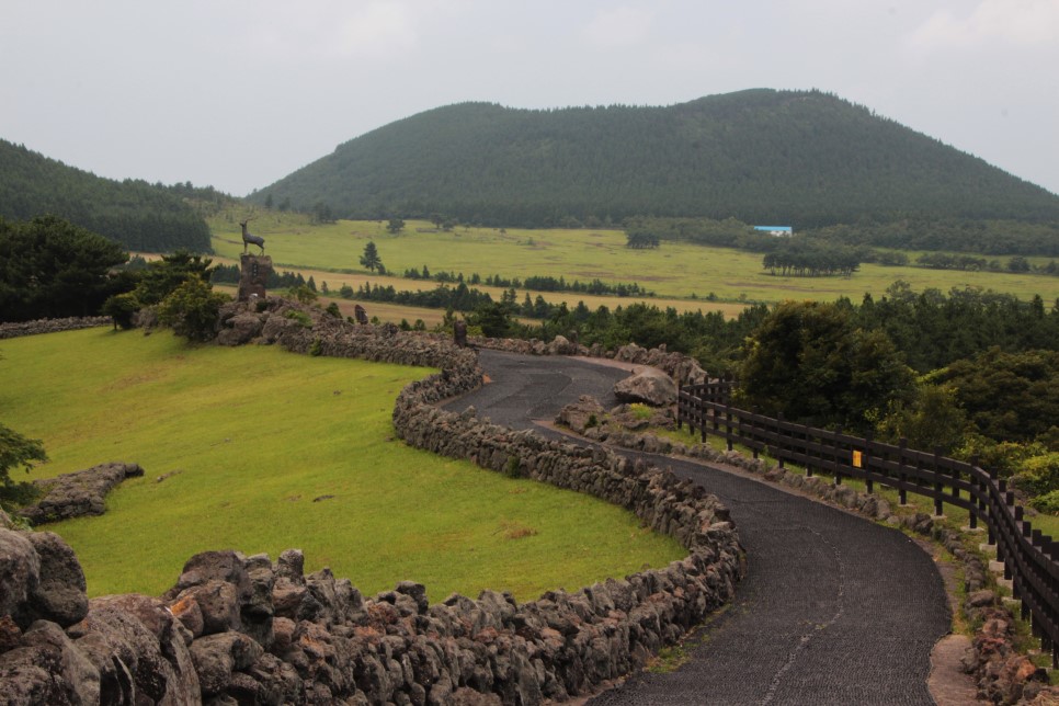 7. 산굼부리10.jpg